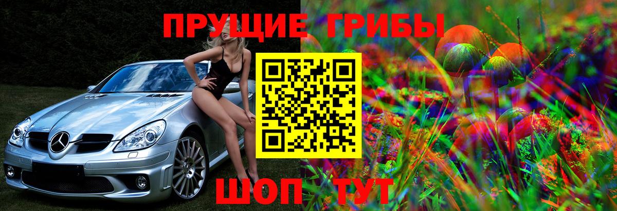 Псилоцибиновые грибы Psilocybine cubensis Рубцовск